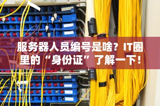 服务器人员编号是啥？IT圈里的“身份证”了解一下！