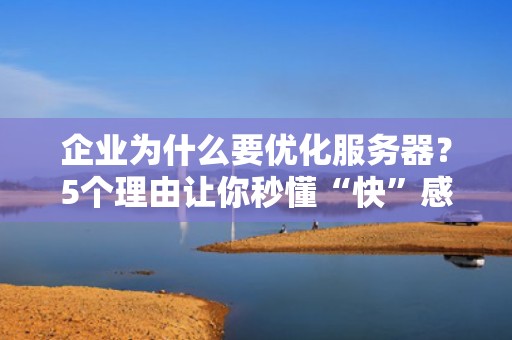 企业为什么要优化服务器？5个理由让你秒懂“快”感！