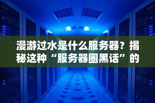 漫游过水是什么服务器？揭秘这种“服务器圈黑话”的真相！