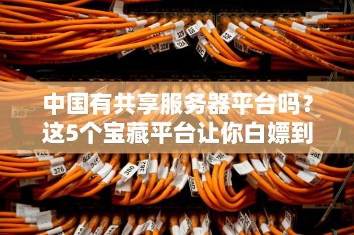 中国有共享服务器平台吗？这5个宝藏平台让你白嫖到爽！