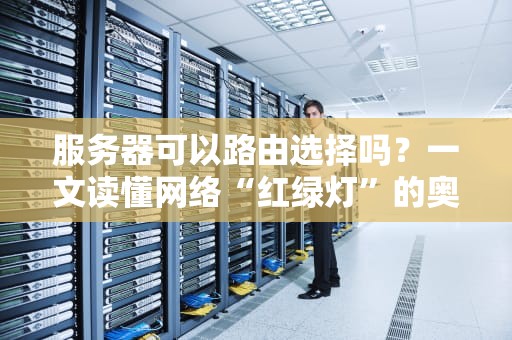服务器可以路由选择吗？一文读懂网络“红绿灯”的奥秘！
