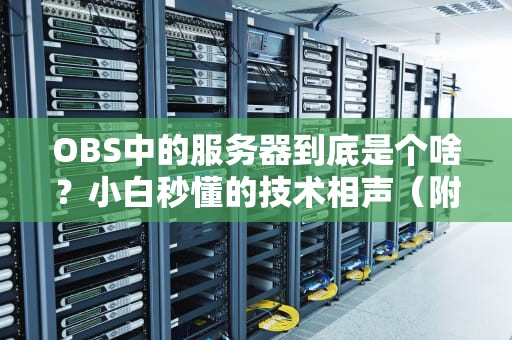 OBS中的服务器到底是个啥？小白秒懂的技术相声（附实战避坑指南）