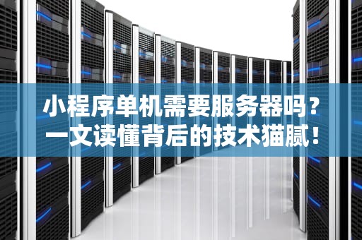 小程序单机需要服务器吗？一文读懂背后的技术猫腻！