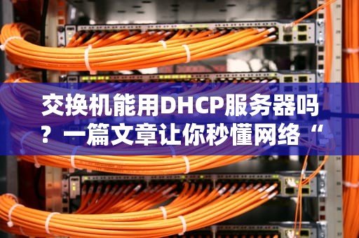 交换机能用DHCP服务器吗？一篇文章让你秒懂网络“自动发IP”的骚操作！