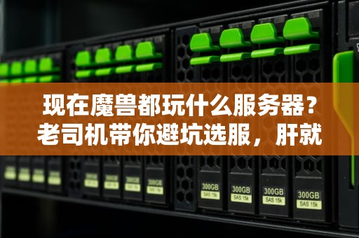 现在魔兽都玩什么服务器？老司机带你避坑选服，肝就完事了！