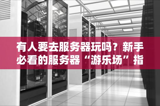 有人要去服务器玩吗？新手必看的服务器“游乐场”指南！