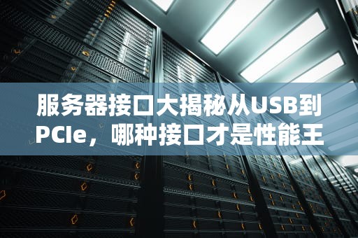 服务器接口大揭秘从USB到PCIe，哪种接口才是性能王者？