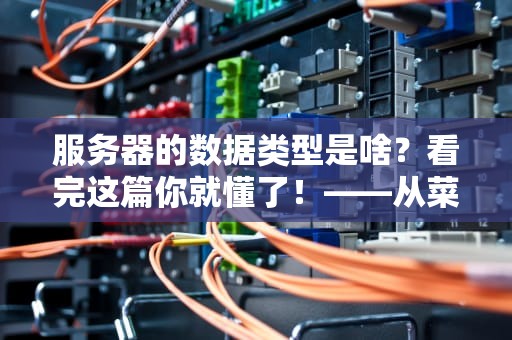 服务器的数据类型是啥？看完这篇你就懂了！——从菜鸟到大神的终极指南