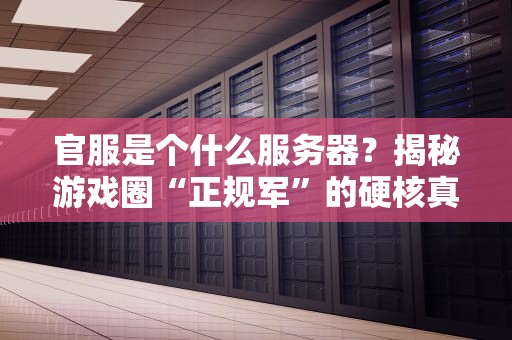 官服是个什么服务器？揭秘游戏圈“正规军”的硬核真相！