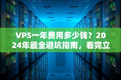 VPS一年费用多少钱？2024年最全避坑指南，看完立省50%！