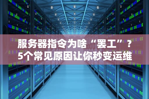 服务器指令为啥“罢工”？5个常见原因让你秒变运维老司机！