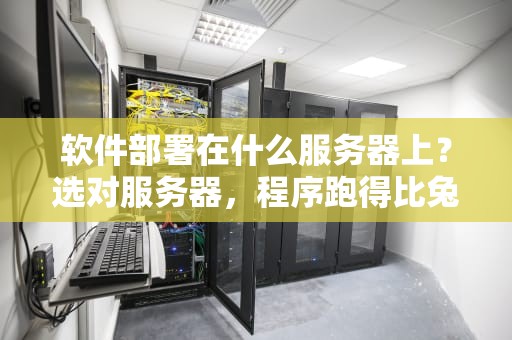 软件部署在什么服务器上？选对服务器，程序跑得比兔子还快！