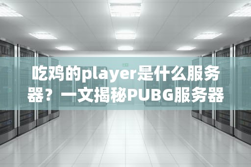 吃鸡的player是什么服务器？一文揭秘PUBG服务器类型与选择技巧