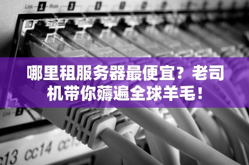 哪里租服务器最便宜？老司机带你薅遍全球羊毛！