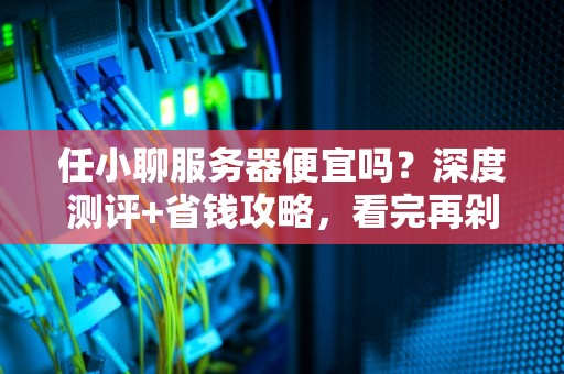 任小聊服务器便宜吗？深度测评+省钱攻略，看完再剁手！