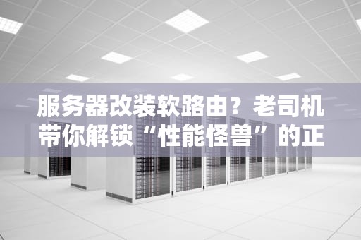 服务器改装软路由？老司机带你解锁“性能怪兽”的正确姿势！