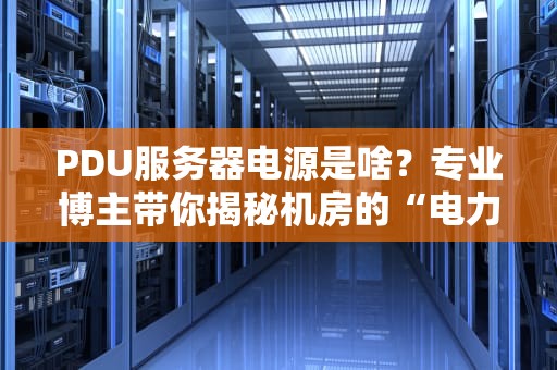 PDU服务器电源是啥？专业博主带你揭秘机房的“电力大管家”！