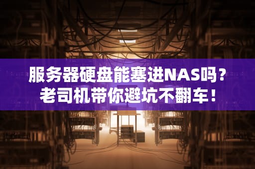 服务器硬盘能塞进NAS吗？老司机带你避坑不翻车！