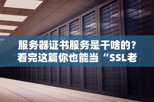 服务器证书服务是干啥的？看完这篇你也能当“SSL老司机”！（附真实翻车案例）