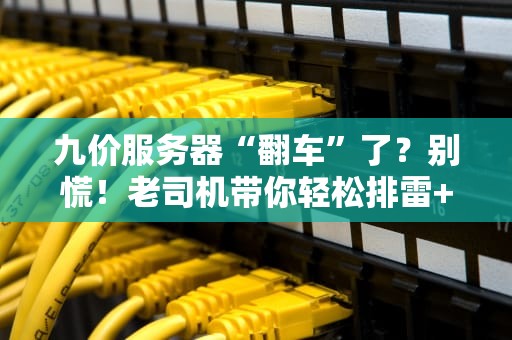 九价服务器“翻车”了？别慌！老司机带你轻松排雷+性能优化指南