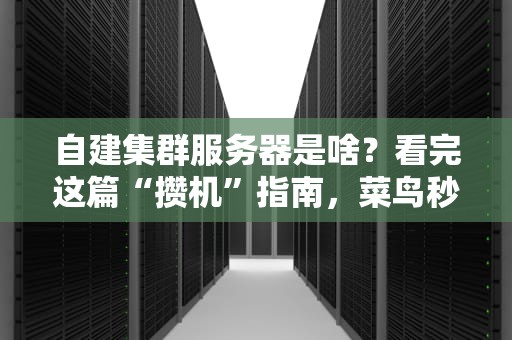 自建集群服务器是啥？看完这篇“攒机”指南，菜鸟秒变老司机！