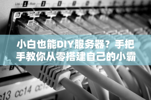 小白也能DIY服务器？手把手教你从零搭建自己的小霸王！