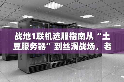 战地1联机选服指南从“土豆服务器”到丝滑战场，老司机带你避坑！