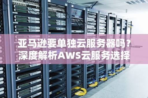 亚马逊要单独云服务器吗？深度解析AWS云服务选择攻略