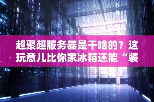 超聚超服务器是干啥的？这玩意儿比你家冰箱还能“装”！