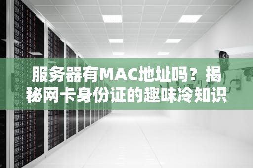 服务器有MAC地址吗？揭秘网卡身份证的趣味冷知识！