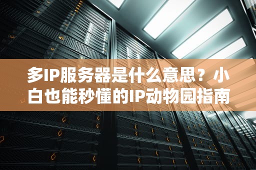 多IP服务器是什么意思？小白也能秒懂的IP动物园指南