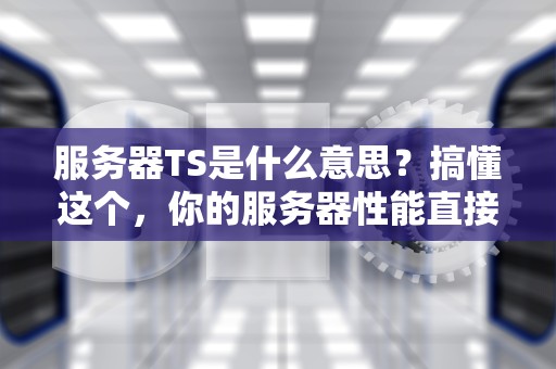 服务器TS是什么意思？搞懂这个，你的服务器性能直接起飞！