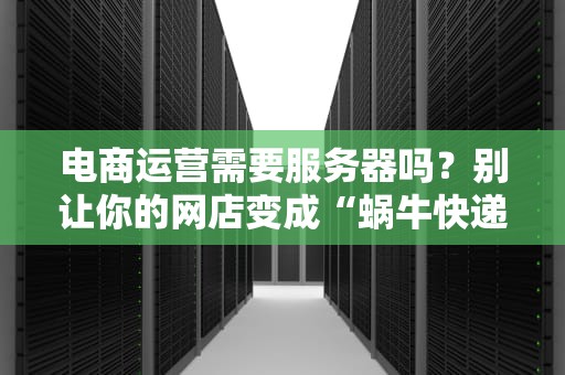 电商运营需要服务器吗？别让你的网店变成“蜗牛快递”！