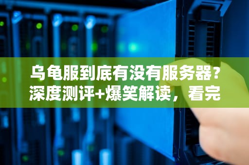 乌龟服到底有没有服务器？深度测评+爆笑解读，看完秒懂！