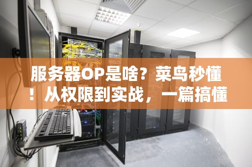 服务器OP是啥？菜鸟秒懂！从权限到实战，一篇搞懂服务器“管理员”那些事儿