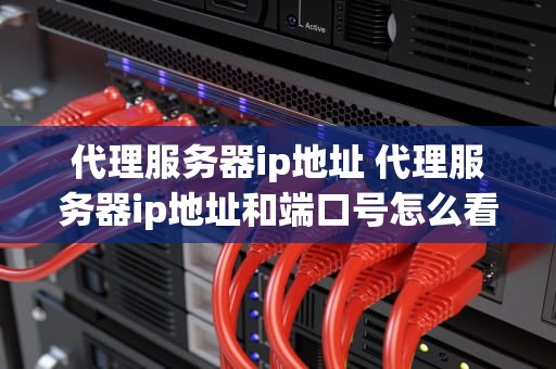 代理服务器ip地址 代理服务器ip地址和端口号怎么看