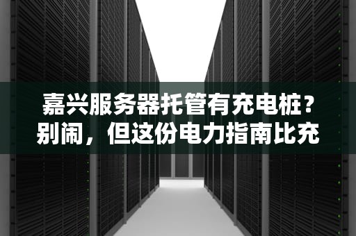 嘉兴服务器托管有充电桩？别闹，但这份电力指南比充电宝香100倍！