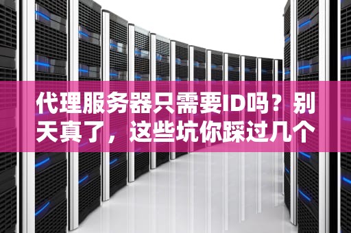 代理服务器只需要ID吗？别天真了，这些坑你踩过几个？