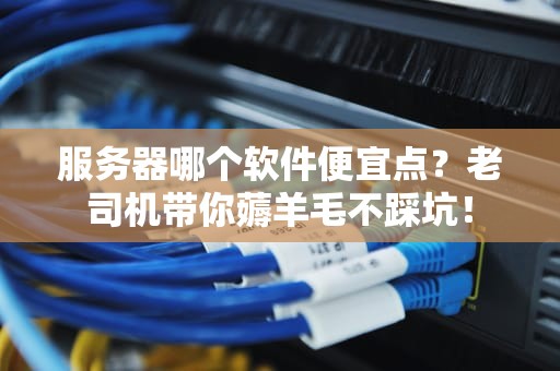 服务器哪个软件便宜点？老司机带你薅羊毛不踩坑！