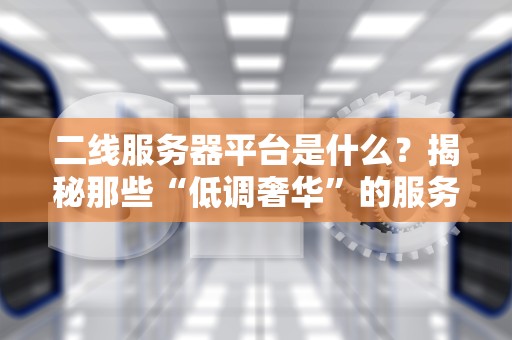 二线服务器平台是什么？揭秘那些“低调奢华”的服务器选择