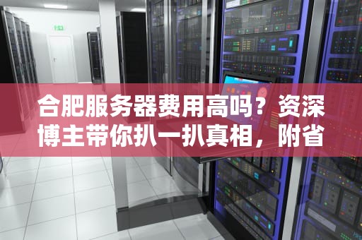 合肥服务器费用高吗？资深博主带你扒一扒真相，附省钱秘籍！