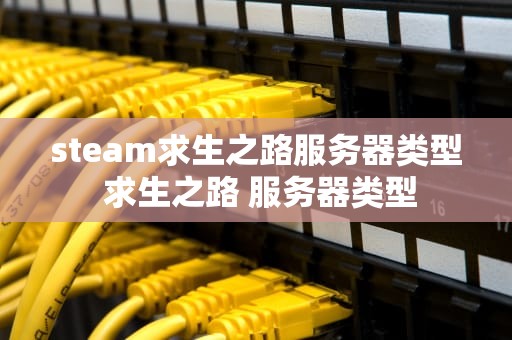 steam求生之路服务器类型 求生之路 服务器类型