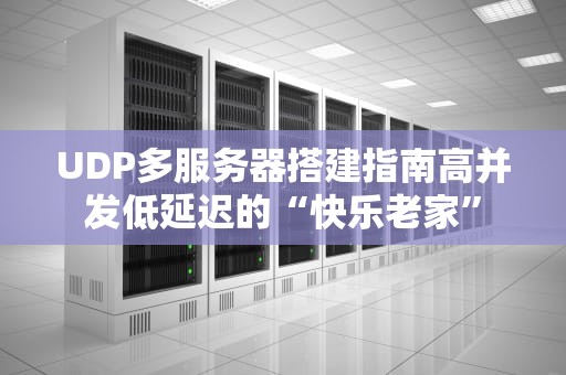 UDP多服务器搭建指南高并发低延迟的“快乐老家”