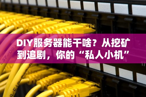 DIY服务器能干啥？从挖矿到追剧，你的“私人小机”无所不能！