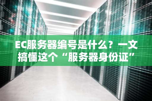 EC服务器编号是什么？一文搞懂这个“服务器身份证”的奥秘！