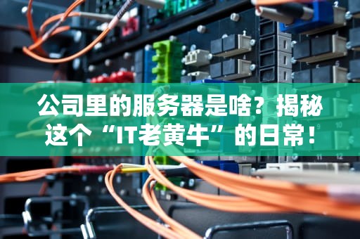 公司里的服务器是啥？揭秘这个“IT老黄牛”的日常！