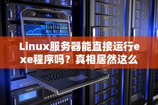 Linux服务器能直接运行exe程序吗？真相居然这么骚！