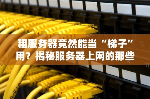 租服务器竟然能当“梯子”用？揭秘服务器上网的那些骚操作！