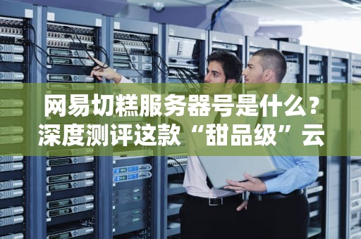 网易切糕服务器号是什么？深度测评这款“甜品级”云服务的真实口感！