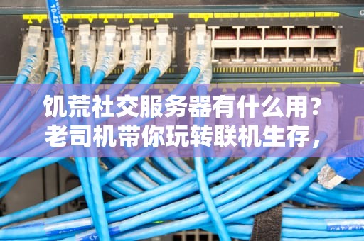 饥荒社交服务器有什么用？老司机带你玩转联机生存，告别孤独荒野！